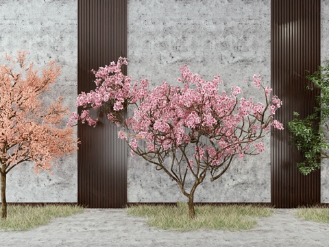  桃树 桃花 树木模型3d模型 