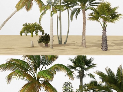 树木 植物 模型3d模型 