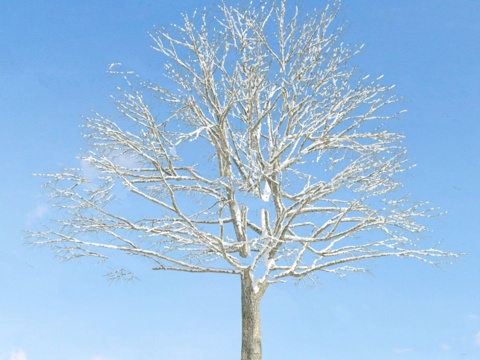  树木 植物模型3d模型 