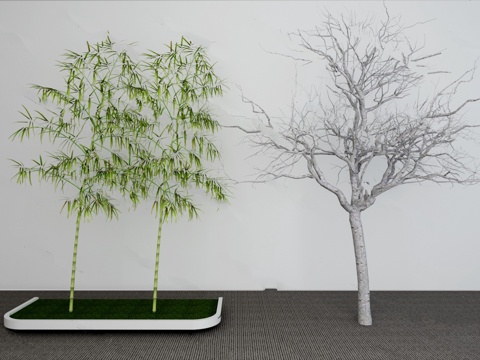  植物 树木 竹子 模型3d模型 