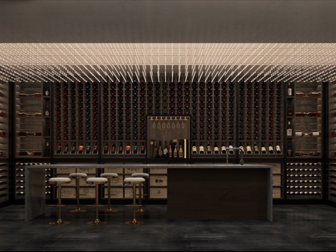  现代酒窖酒吧品酒区酒柜3d模型 