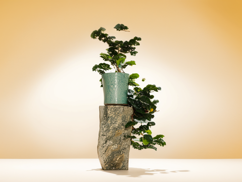  雕塑摆件家具灯具器材设备室外建筑小品su模型 