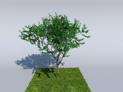  树木 草皮 植物 模型3d模型 