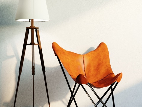  现代皮革休闲椅 落地灯组合3d模型 