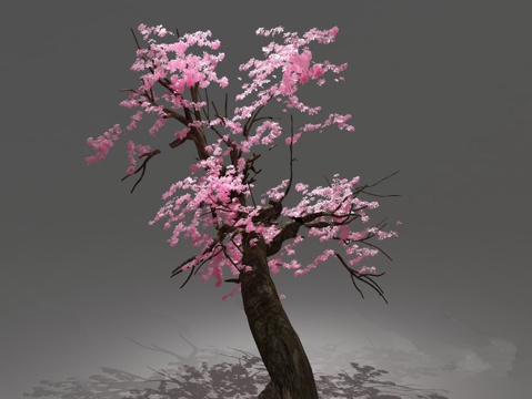  桃树 桃花 植物模型3d模型 