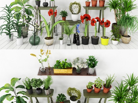  盆栽 小盆栽 室内小盆栽 大盆栽 绿化墙饰 绿化摆件 植3d模型 