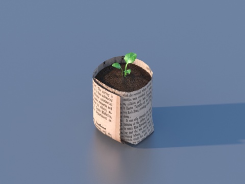  花苗 临时花盆3d模型 