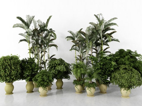  盆栽 室内盆栽 室外盆栽 室内大盆栽 室外大盆栽 植物3d模型 