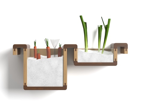  现代壁挂植物盆栽3d模型 