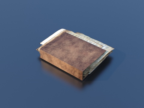  古籍 书本 皮革 纸张3d模型 