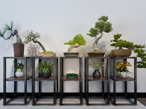  新中式盆栽 盆景 花瓶3d模型 