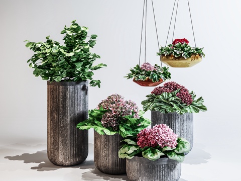  现代室内植物盆栽3d模型 