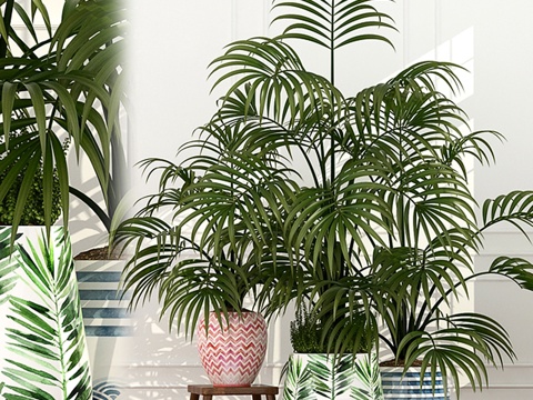  现代绿色植物盆栽组合3d模型 