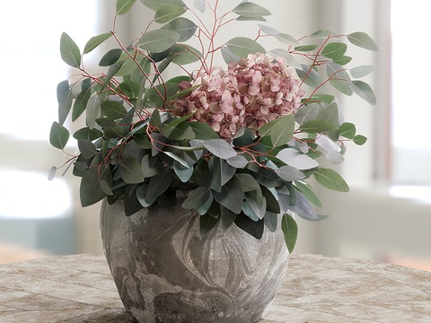  现代室内植物盆栽3d模型 