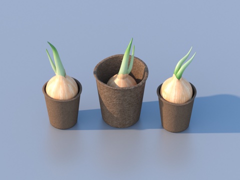  花盆 盆栽 绿植 植物3d模型 