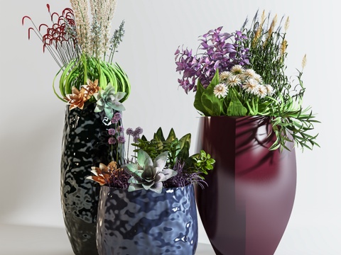  现代室内植物盆栽3d模型 