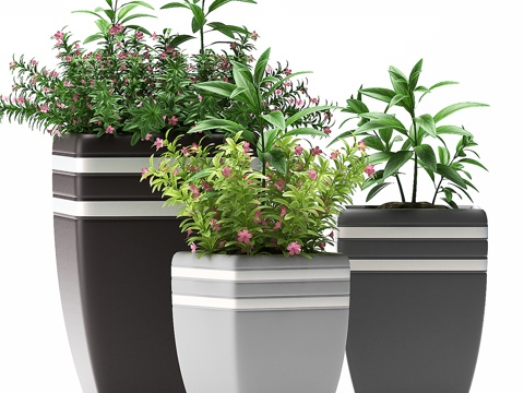  现代室内植物盆栽3d模型 