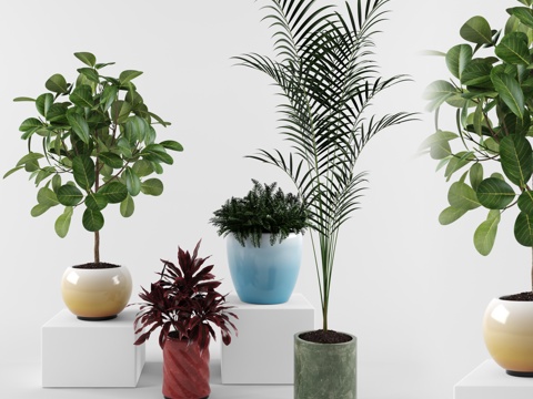  北欧植物组合3d模型 