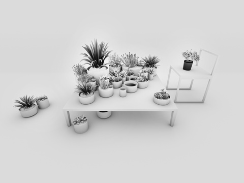  多肉植物 单椅 盆栽3d模型 