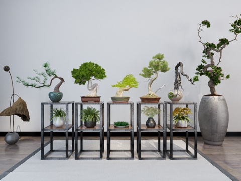  盆栽盆景 花艺花瓶3d模型 