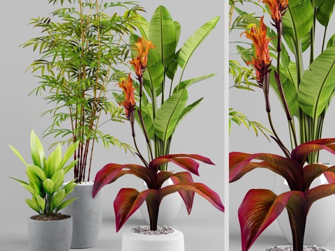  现代植物竹子 盆栽组合3d模型3d模型 