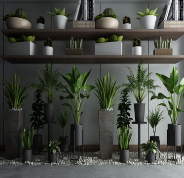  植物景观小品3d模型 