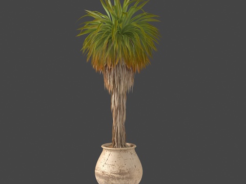  植物盆栽绿植热带植物3d模型 