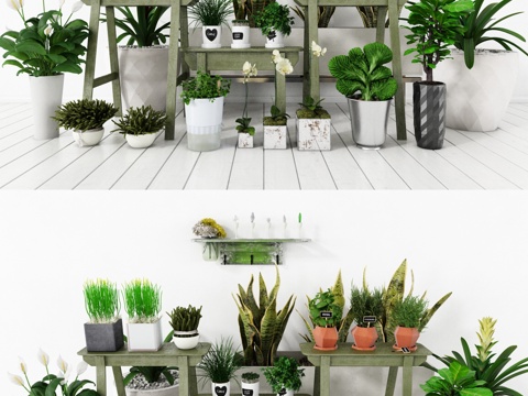  盆栽 小盆栽 室内小盆栽 大盆栽 绿化墙饰 绿化摆件 植3d模型 