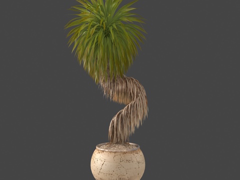  植物盆栽绿植热带植物3d模型 