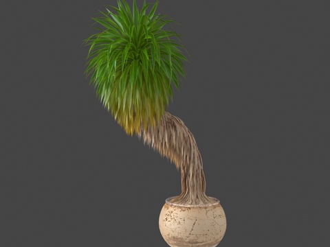  植物盆栽绿植热带植物3d模型 