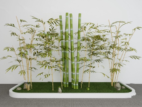  竹子 植物 盆栽 模型3d模型 