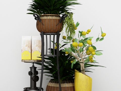  植物 景观 盆栽3d模型 