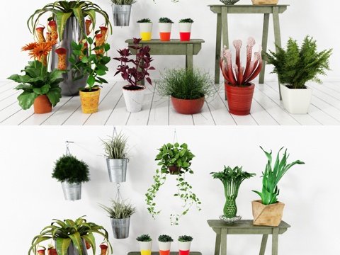  盆栽 小盆栽 室内小盆栽 大盆栽 绿化墙饰 绿化摆件 植3d模型 