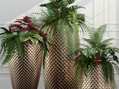  现代室内植物盆栽3d模型 