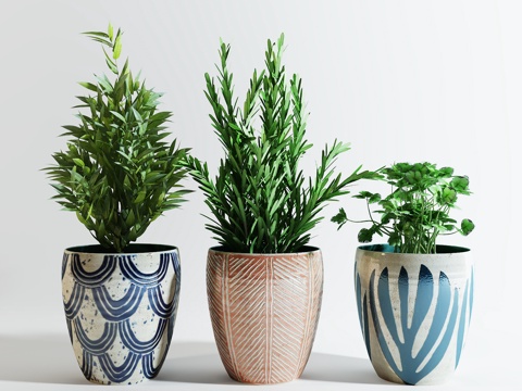  现代室内植物盆栽3d模型 