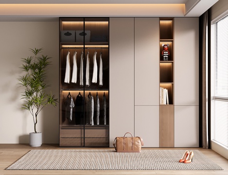  现代定制衣柜 玻璃衣柜 开放格衣柜3d模型 