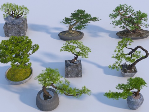  新中式松树植物盆栽3d模型 