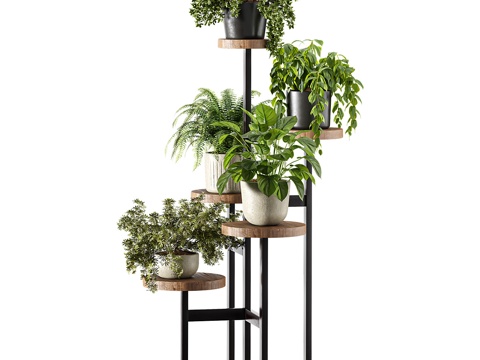  室内植物组合3d模型 