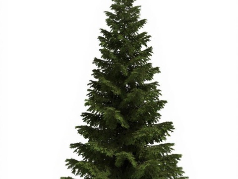 3D模型松树 树木模型素材 自然元素设计 白色背景封面图 高清3D立体松树免费3d模型