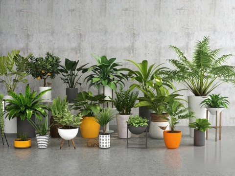 现代工业风家居绿植装饰 3D模型植物美学设计素材免费3d模型