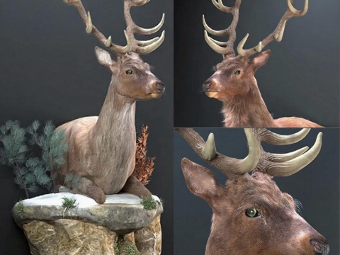 3D雄鹿动物雕塑 逼真毛发鹿角多角度展示 苔藓岩石底座家居装饰品免费3d模型