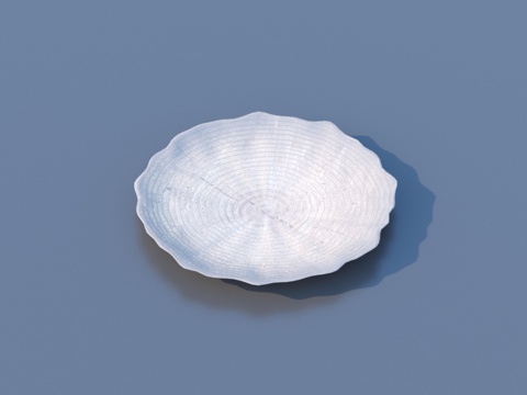  盘子 厨房用品 生活用品3d模型 