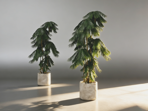 现代简约美洲杉盆栽   水泥花盆  室内绿植软装 混凝土花盆su模型