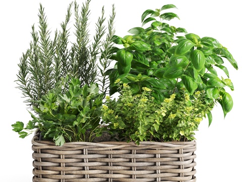  花瓶花卉3d模型 