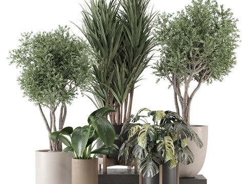  花瓶預訂3d模型 