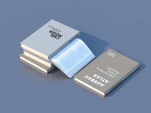  书 笔记本 小说 杂志 书刊3d模型 