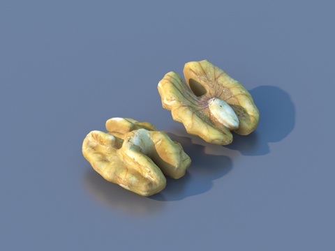  核桃干果3d模型 