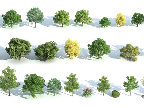  现代植物 景观树 桃树 松树 银杏 棕榈树 热带树3d模型 