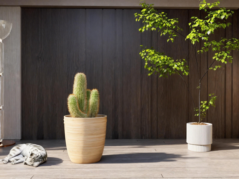 现代仙人掌盆栽 睡觉猫咪 玻璃落地灯su模型