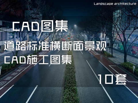 道路标准横断面景观CAD施工图集10套cad施工图